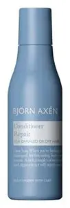 Björn Axén Repair Conditioner Mini