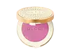 01 Arctic Rose