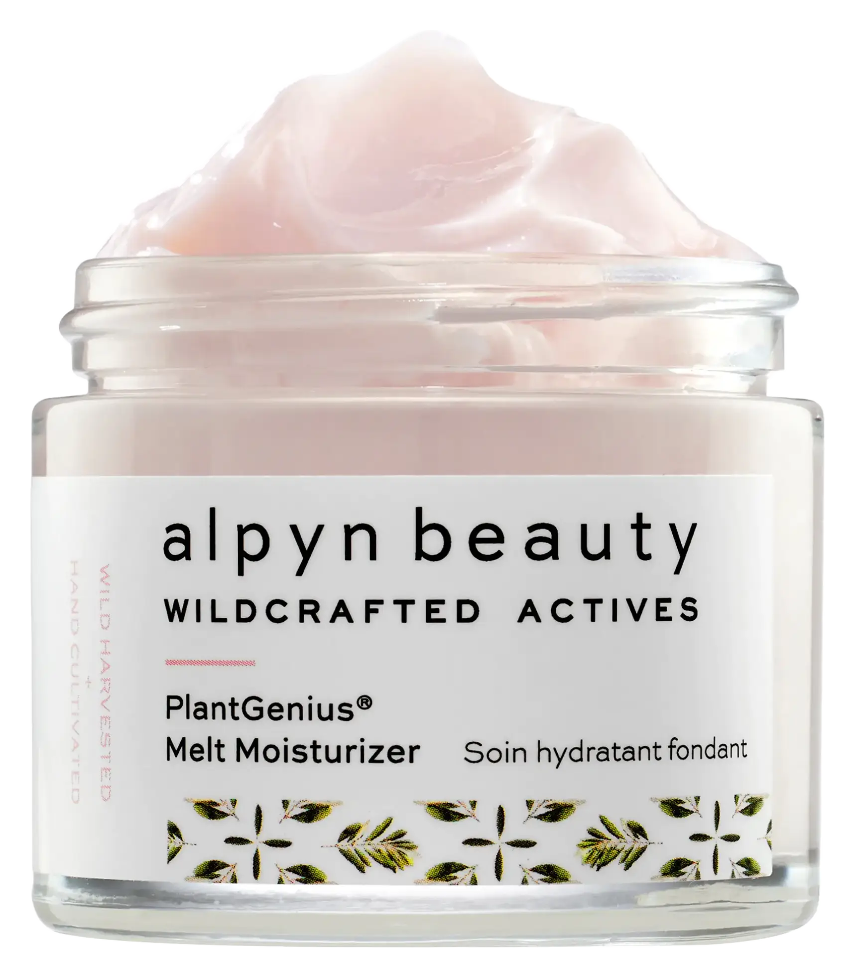 alpyn beauty Melt Moisturizer