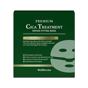 Wellderma Cica Treatment Repair Fitting Mask