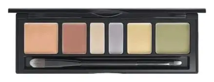Jung Saem Mool Artist Concealer Palette Blend