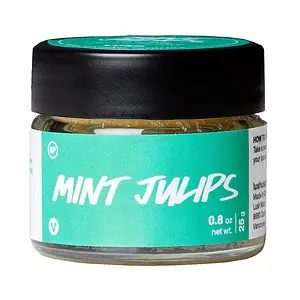LUSH Lip Scrub Mint Julips