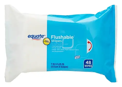 Equate Flushable Wipes