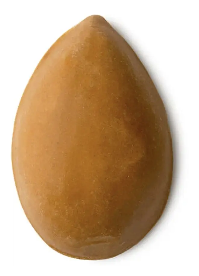 LUSH Pumice Power Foot Soap