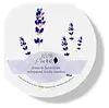 French Lavender