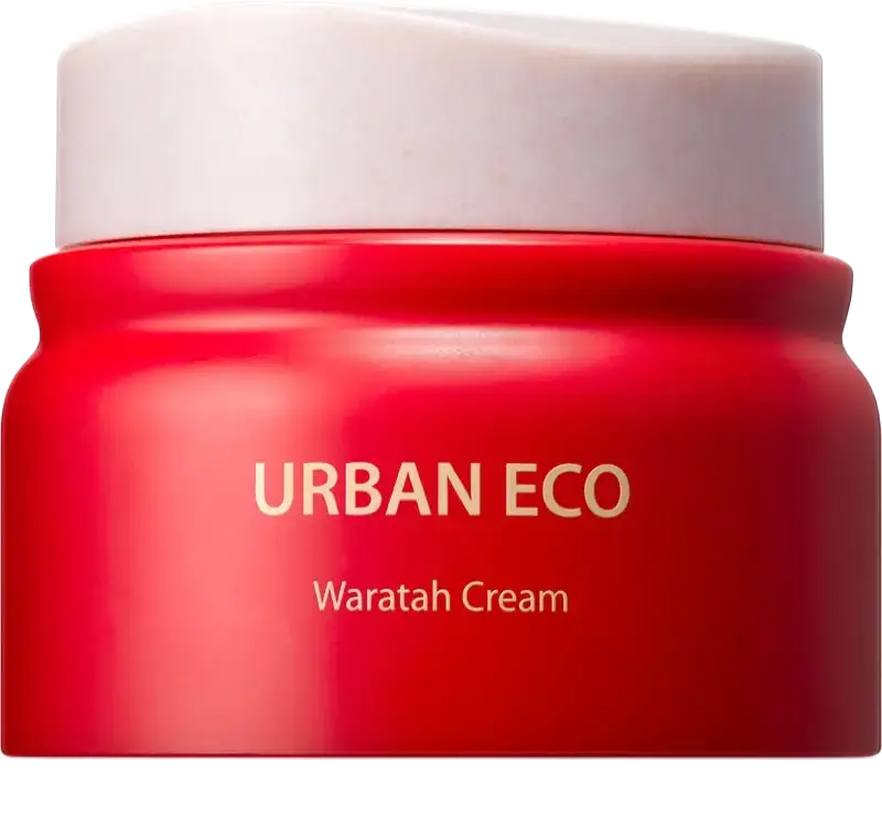 The Saem Urban Eco Waratah Cream
