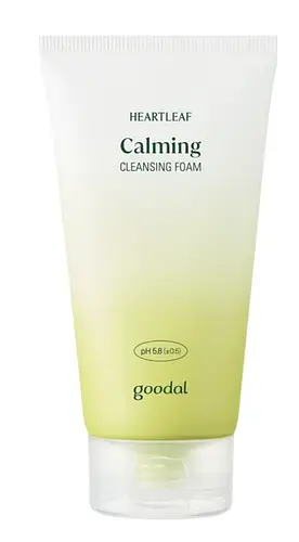 Goodal Houttuynia Cordata Calming pH Balancing Cleansing Foam