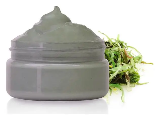 The Body Deli French Clay & Algae Masque (Firming)