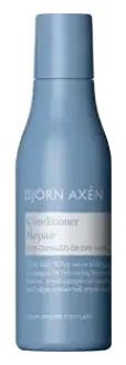 Björn Axén Repair Conditioner Mini