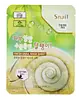 Snail