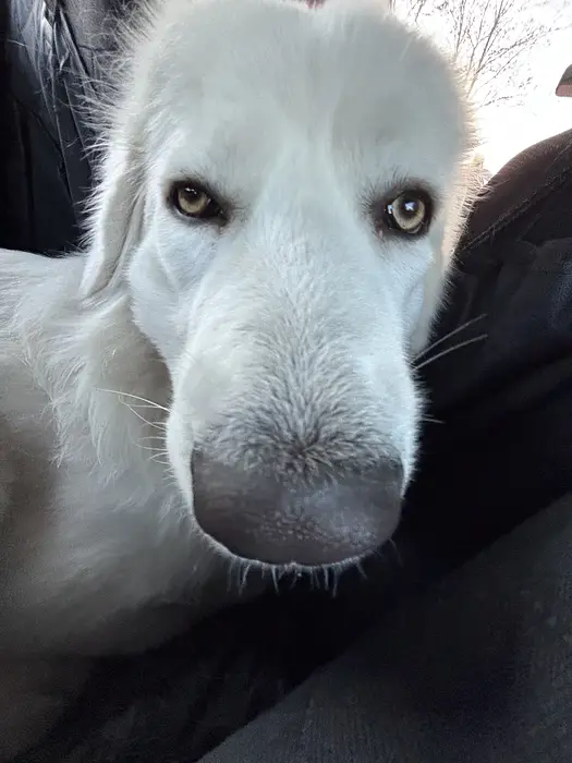 rarararar's avatar