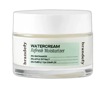 Brandefy Skin Watercream Refresh Moisturizer