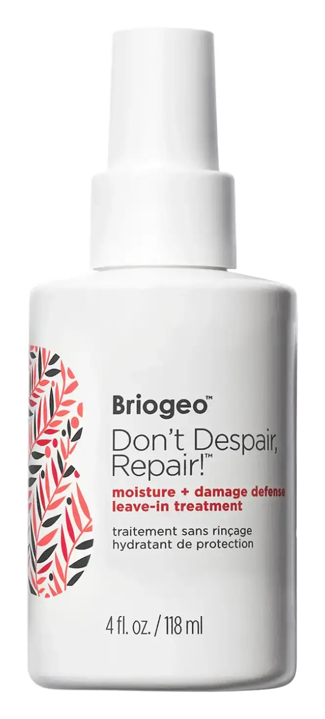 BrioGeo Moisture + Damage Defense Leave-In Treatment