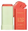 Coral Orange