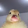 NaomiAltheaVillareal's avatar