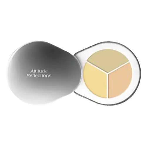 Dear.A Perfect Cover Concealer Palette C02