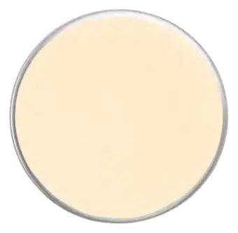 Face Atelier Iconic Eyeshadow Flax
