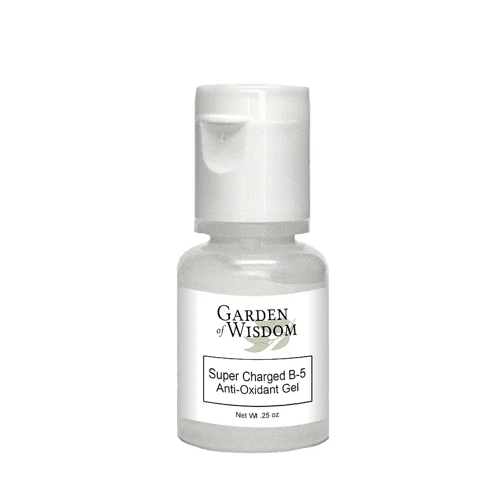 Garden of Wisdom Super Charged B-5 Anti-Oxidant Gel