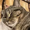 salva's avatar