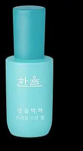 Hanyul Mentha Trouble Spot Gel