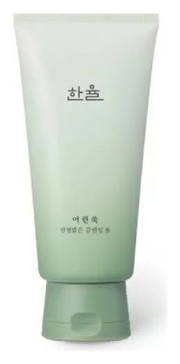 Hanyul Pure Artemisia Calming Foam Cleanser