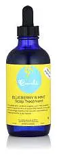 Curls Blueberry & Mint Tea Hair Growth & Scalp Treatment