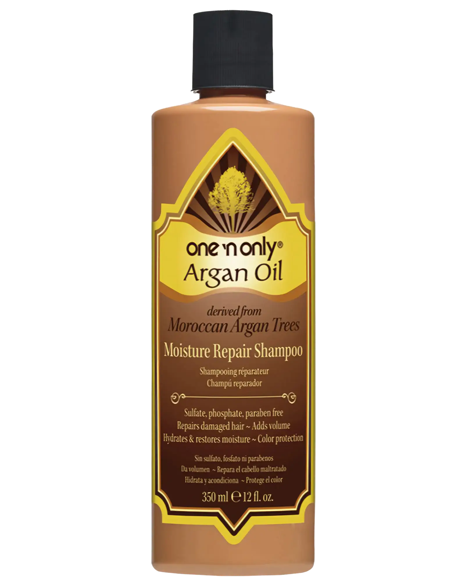 One 'N Only Argan Oil Moisture Repair Shampoo