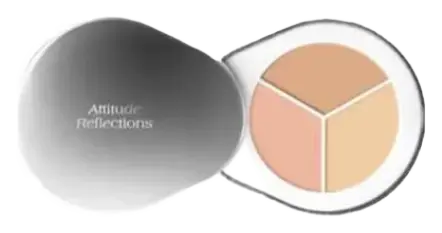 Dear.A Perfect Cover Concealer Palette C01