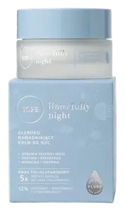 Yope Waterfully Night