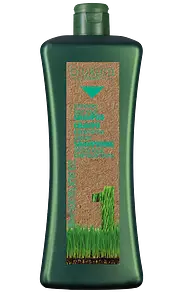 Salerm Biokera Natura Specific Oily Hair Shampoo