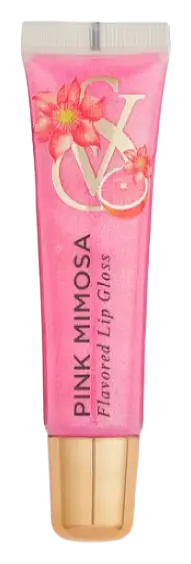 Victoria’s Secret Flavored Lip Gloss Pink Mimosa