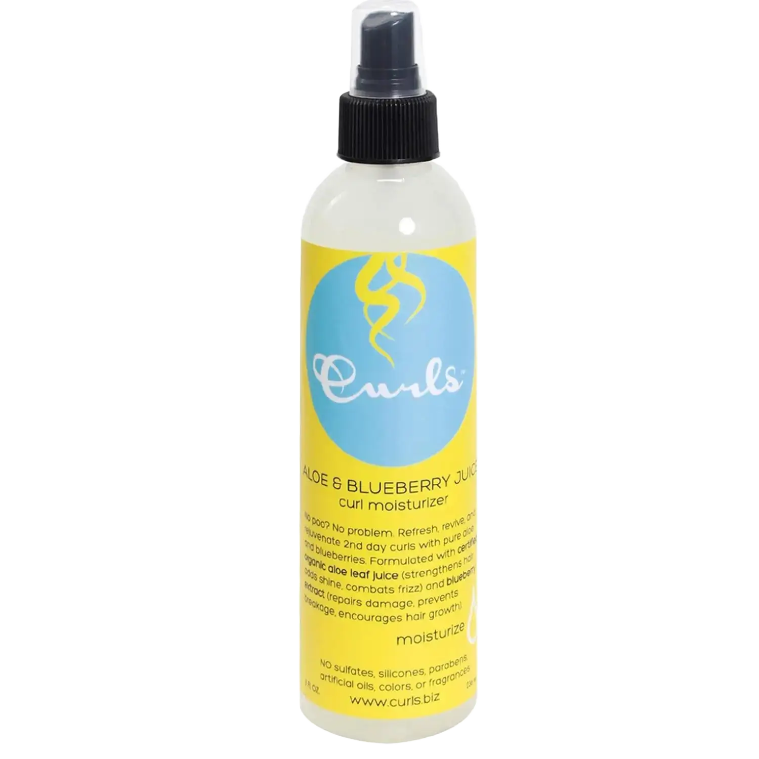 Curls Aloe & Blueberry Juice Curl Moisturizer
