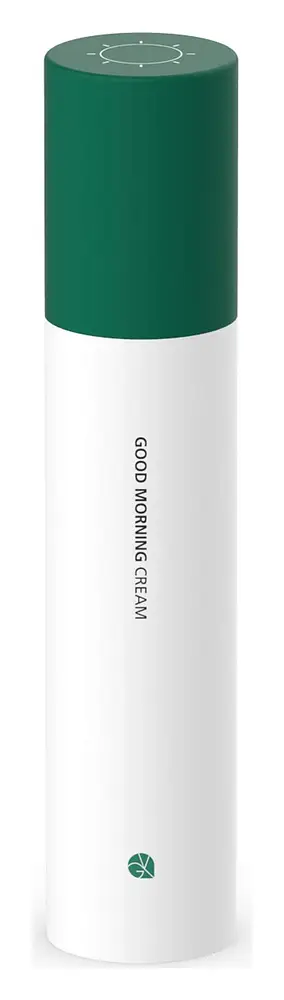 The Vegan Glow Good Morning Cream