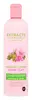 Mallow Flower & Pink Clay