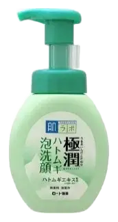 Hada Labo Gokujyun Hatomugi Bubble Face Wash