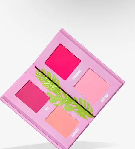 Made by Mitchell MINI BLURSH BOOK Living In Pink