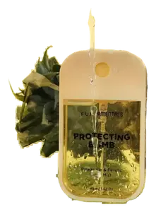 fundamentals Protecting Bomb
