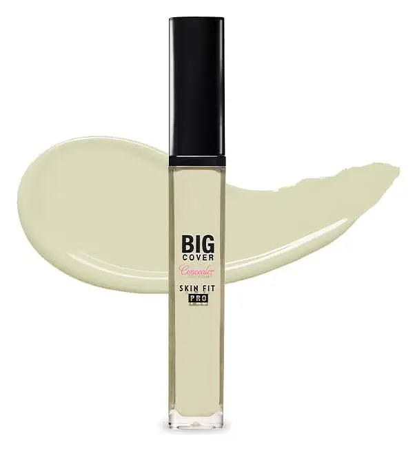 Etude House Big Cover Skin Fit Concealer Pro Neutral Mint
