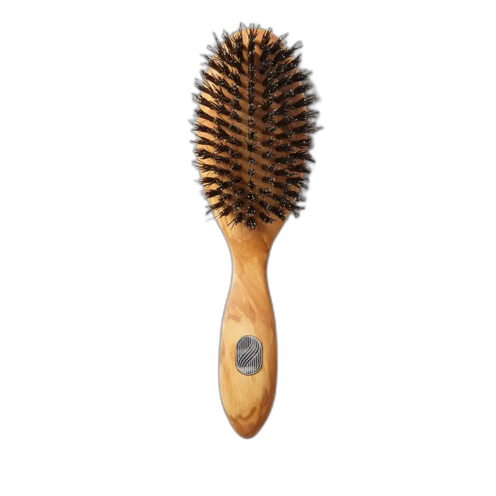 Altesse Studio Prestige Hairbrush Repair & Shine