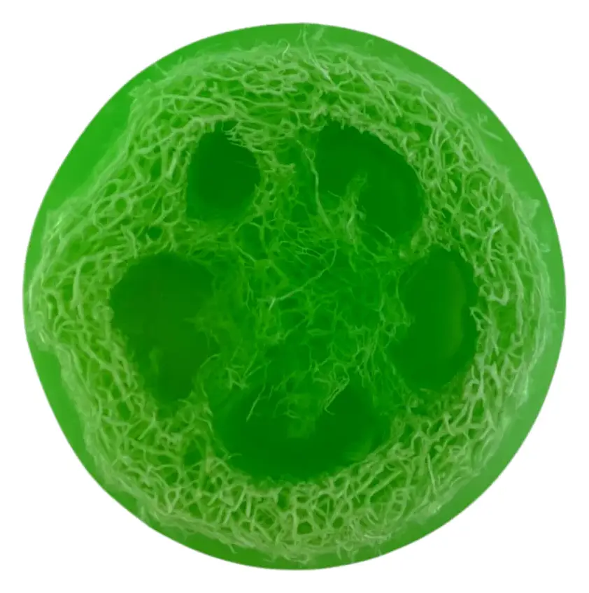 Soap Cute California Watermelon Natural Loofah Exfoliating Soap Bar