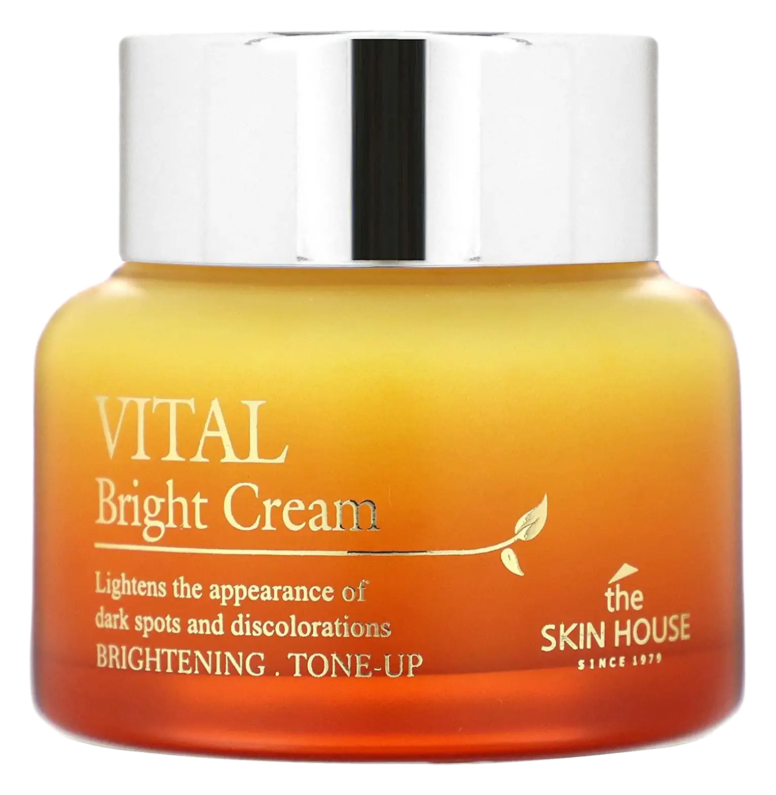 The Skin House Vital Bright Cream