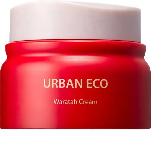 The Saem Urban Eco Waratah Cream