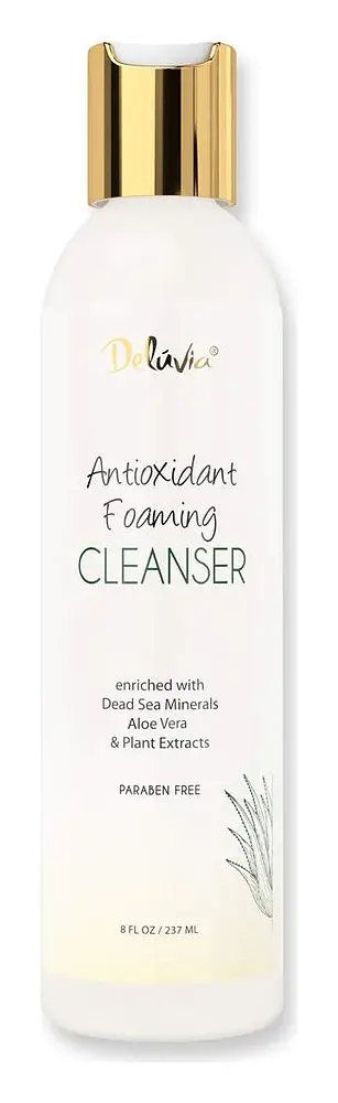 Deluvia Antioxidant Foaming Cleanser