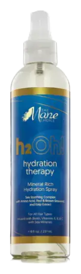 The Mane Choice H2Oh! Hydration Therapy Mineral Rich Hydration Spray