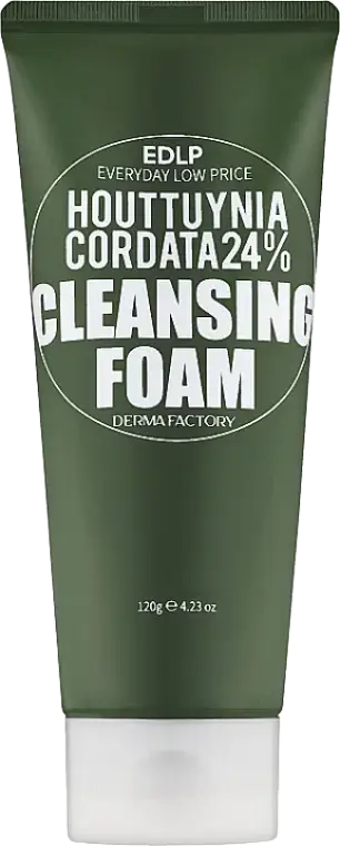 Derma Factory Houttuynia Cordata 24% Cleansing Foam
