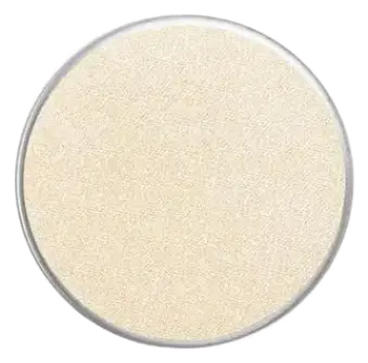 Face Atelier Iconic Eyeshadow Camel