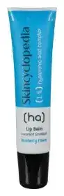 Skincyclopedia 1% Hyaluronic Acid Complex Lip Balm