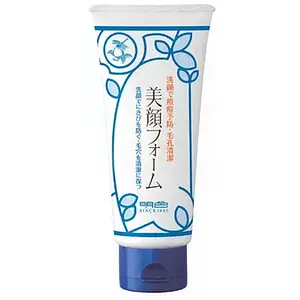 Meishoku Brilliant Colors Bigan Acne Prevention Facial Cleanser