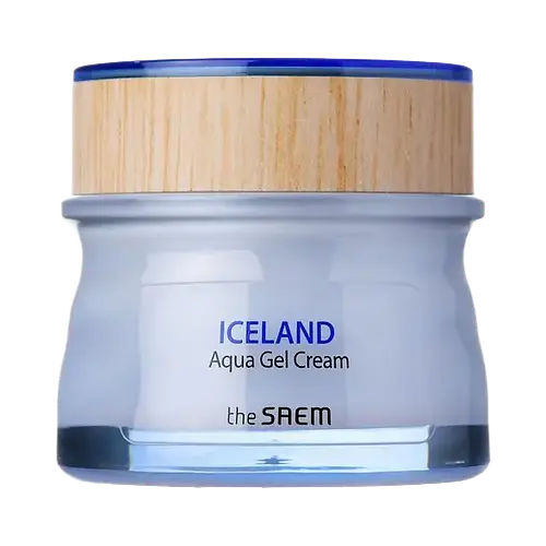 The Saem Iceland Aqua Gel Cream