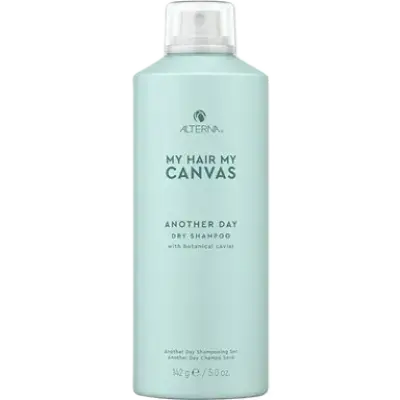 Alterna Haircare My Hair My Canvas Another Day Dry Shampoo